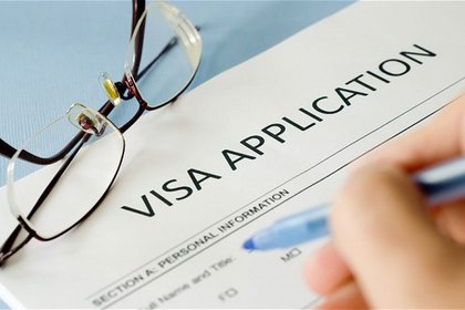 E-service "Check the status of the type" D" visa application”